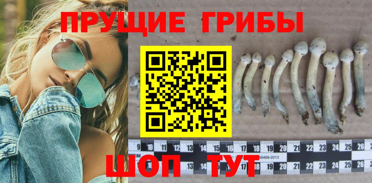 Галлюциногенные грибы GOLDEN TEACHER  Вход с VPN  Нижний Новгород 