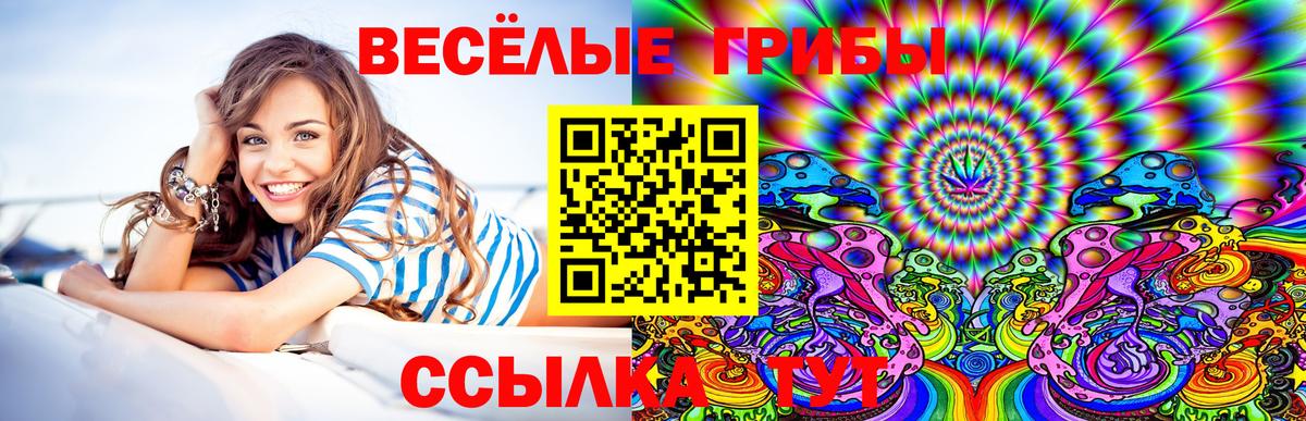 Псилоцибиновые грибы MAGIC MUSHROOMS Нижний Новгород